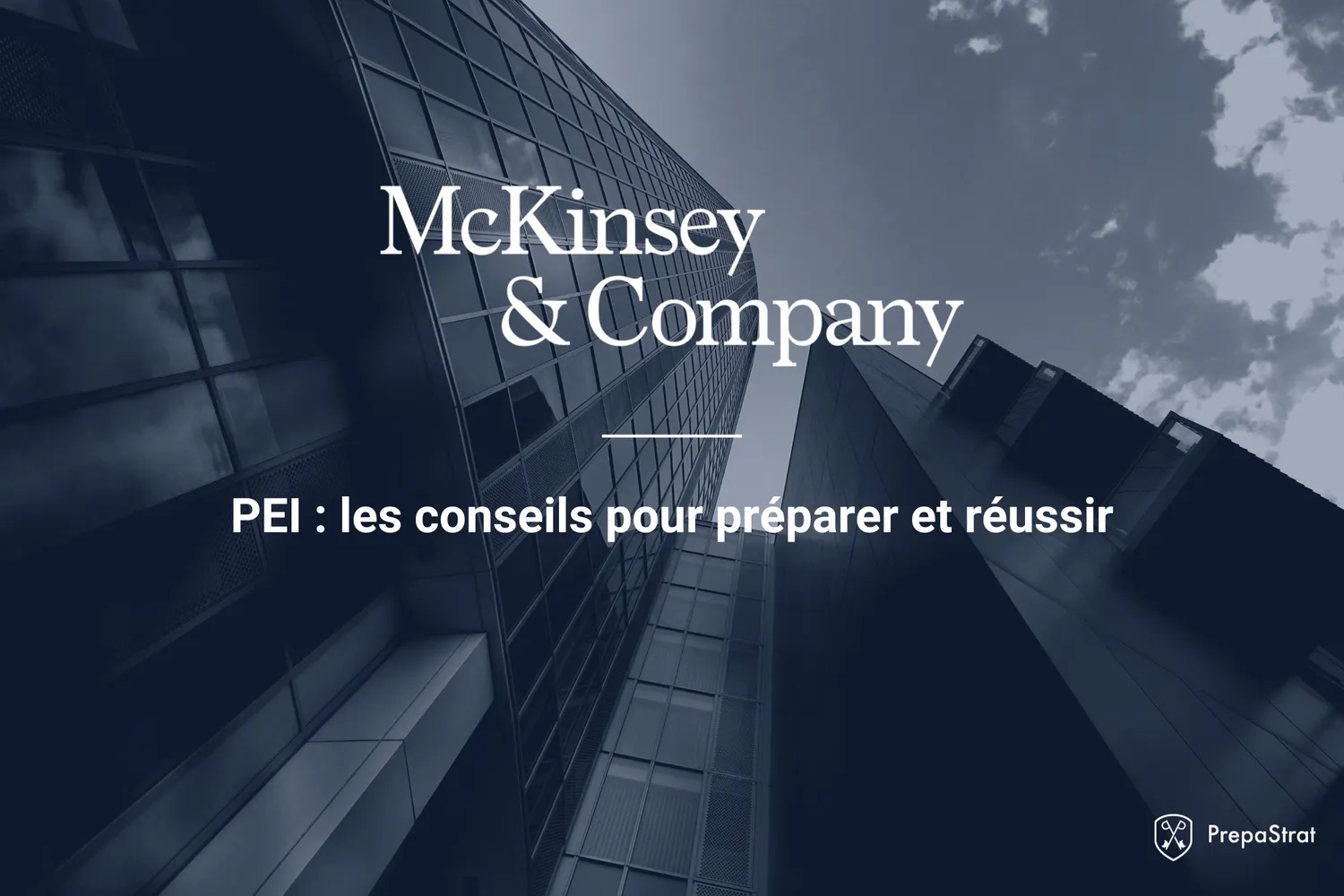 Préparer le PEI, le fit made in McKinsey - Couverture