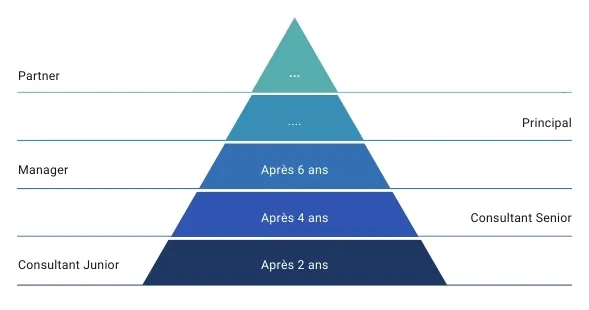 b. Article 28 - Pyramide des consultants